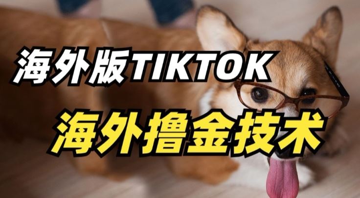 抖音海外版tiktok撸金技术，这个风口行业，赚钱真的不难【揭秘】-928网创