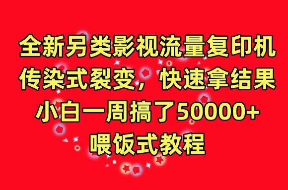全新另类影视流量复印机，传染式裂变，快速拿结果，小白一周搞了50000+，喂饭式教程【揭秘】-928网创