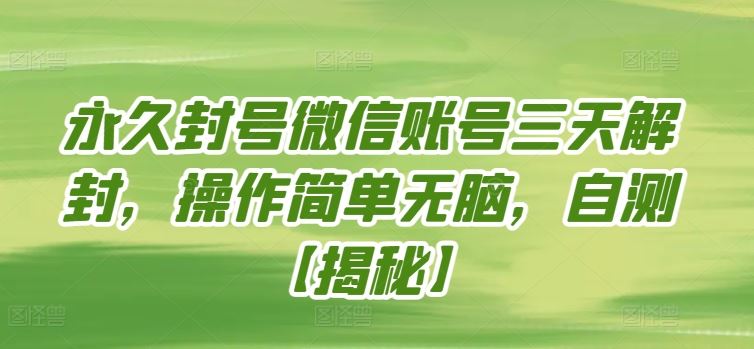 永久封号微信账号三天解封，操作简单无脑，自测【揭秘】-928网创