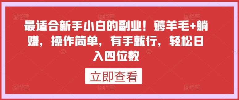 最适合新手小白的副业！薅羊毛+躺赚，操作简单，有手就行，轻松日入四位数【揭秘】-928网创