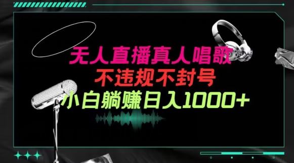 抖音24小时无人直播音乐，不违规，不封号纯撸音浪，小白实操当天日入1000+【揭秘】-928网创