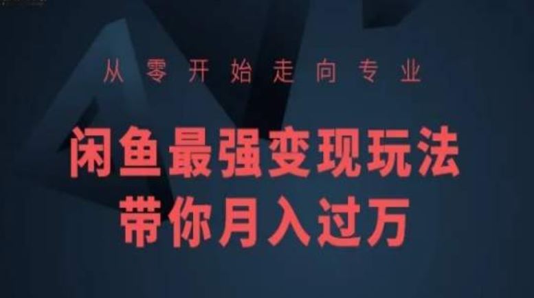 从零开始走向专业，闲鱼最强变现玩法带你月入过万-928网创