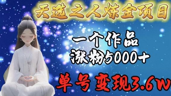 天选之人炼金项目，一个作品涨粉5000+，单号变现3.6w【揭秘】-928网创
