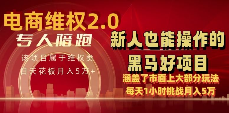 电商维权 4.0 如何做到月入 5 万+每天 1 小时新人也能快速上手【仅揭秘】-928网创