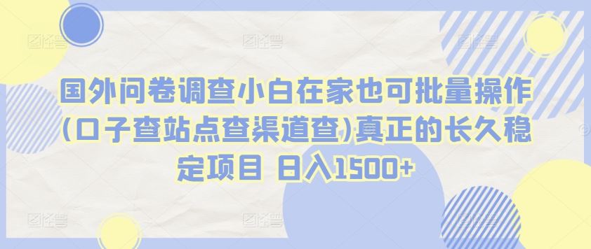 国外问卷调查小白在家也可批量操作(口子查站点查渠道查)真正的长久稳定项目 日入1500+【揭秘】-928网创