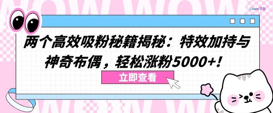 两个高效吸粉秘籍揭秘：特效加持与神奇布偶，轻松涨粉5000+【揭秘】-928网创