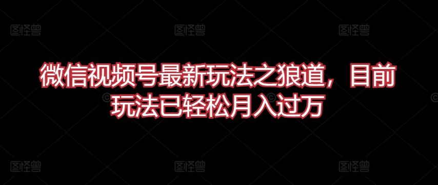 微信视频号最新玩法之狼道，目前玩法已轻松月入过万【揭秘】-928网创