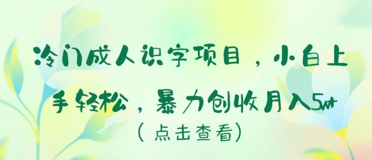 冷门成人识字项目，小白上手轻松，暴力创收月入5w+【揭秘】-928网创