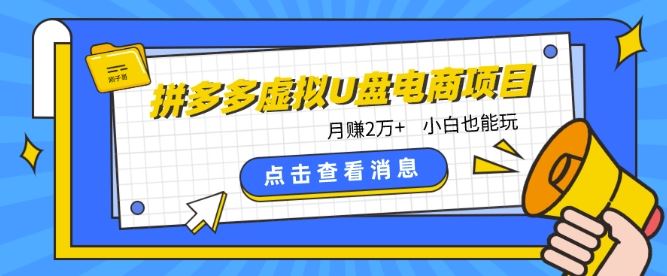 拼多多虚拟U盘电商红利项目：月赚2万+，新手小白也能玩-928网创