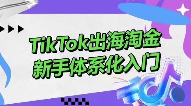 TikTok出海淘金，新手体系化入门，零基础快速入门，掌握短视频、直播带货等引流到变现的知识-928网创