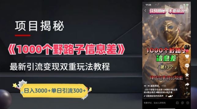 一千个野路子信息差最新玩法教程-变现+引流的玩法具体拆解【揭秘】-928网创