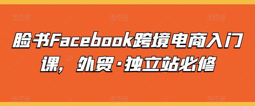 脸书Facebook跨境电商入门课，外贸·独立站必修-928网创