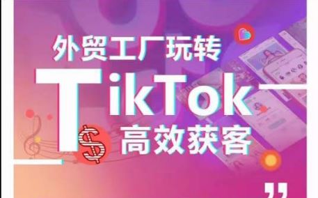 外贸工厂玩转TikTok高效获客，多种引流方式与账号定位技巧，拆解爆款短视频打造成功案例-928网创