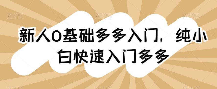 新人0基础多多入门，​纯小白快速入门多多-928网创