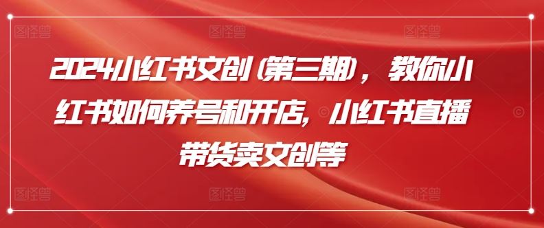 2024小红书文创(第三期)，教你小红书如何养号和开店，小红书直播带货卖文创等-928网创