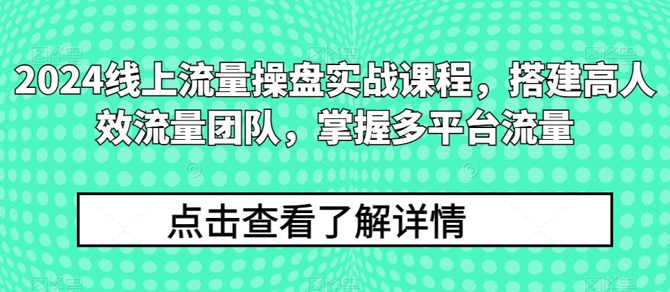 2024线上流量操盘实战课程，搭建高人效流量团队，掌握多平台流量-928网创