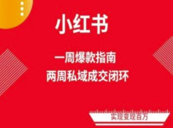 爆款小红书免费流量体系课程(两周变现)，小红书电商教程-928网创