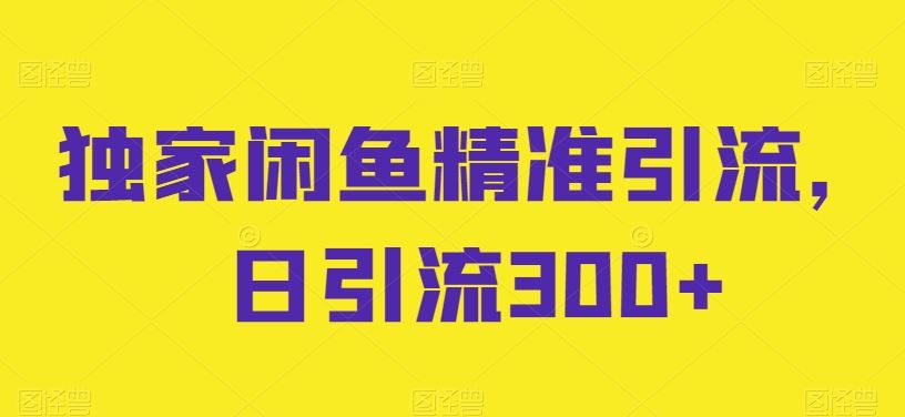 独家闲鱼精准引流，日引流300+【揭秘】-928网创