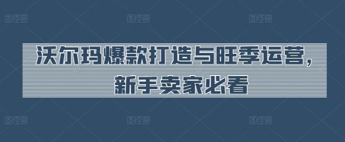 沃尔玛爆款打造与旺季运营，新手卖家必看-928网创