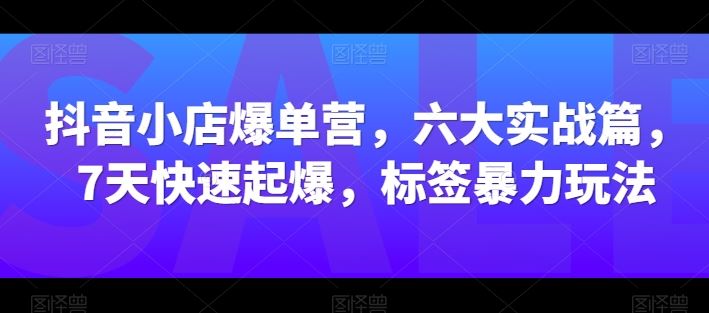 抖音小店爆单营，六大实战篇，7天快速起爆，标签暴力玩法-928网创