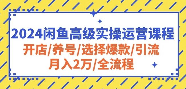 2024闲鱼高级实操运营课程：开店/养号/选择爆款/引流/月入2万/全流程-928网创