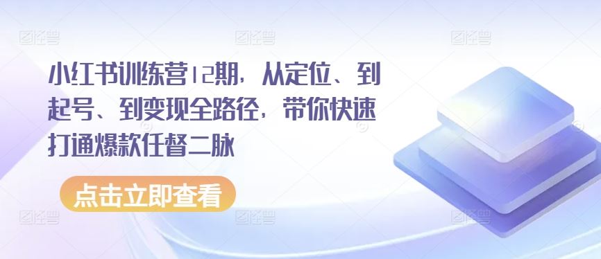 小红书训练营12期，从定位、到起号、到变现全路径，带你快速打通爆款任督二脉-928网创