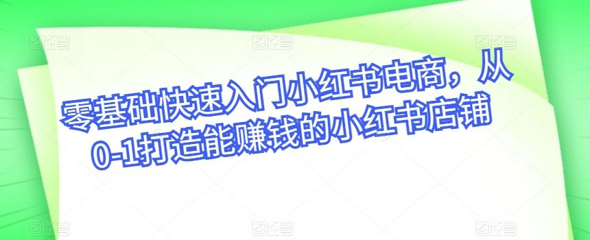 零基础快速入门小红书电商，从0-1打造能赚钱的小红书店铺-928网创