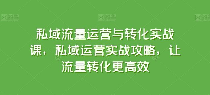 私域流量运营与转化实战课，私域运营实战攻略，让流量转化更高效-928网创