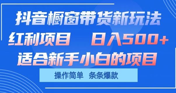 抖音橱窗带货新玩法，单日收益几张，操作简单，条条爆款【揭秘】-928网创