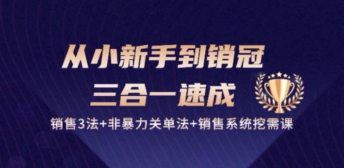 从小新手到销冠 三合一速成：销售3法+非暴力关单法+销售系统挖需课 (27节)-928网创