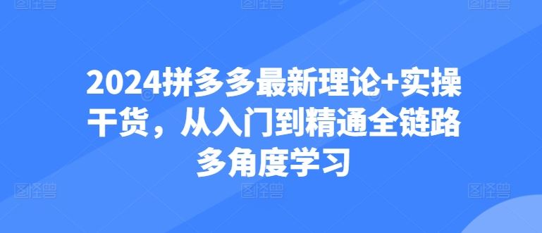 2024拼多多最新理论+实操干货，从入门到精通全链路多角度学习-928网创
