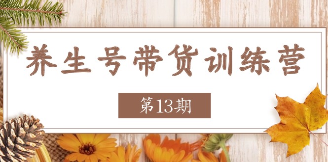 养生号带货训练营【第13期】收益更稳定的玩法，让你带货收益爆炸-928网创