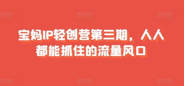 宝妈IP轻创营第三期，人人都能抓住的流量风口-928网创