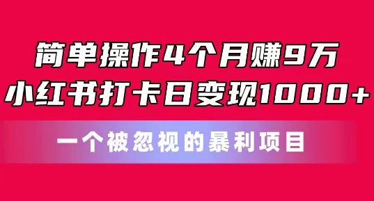 简单操作4个月赚9w，小红书打卡日变现1k，一个被忽视的暴力项目【揭秘】-928网创