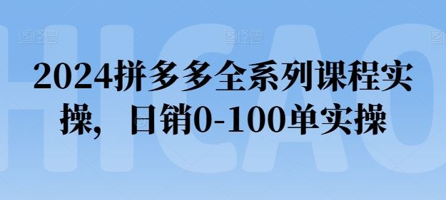 2024拼多多全系列课程实操，日销0-100单实操【必看】-928网创