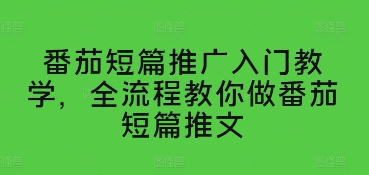 番茄短篇推广入门教学，全流程教你做番茄短篇推文-928网创
