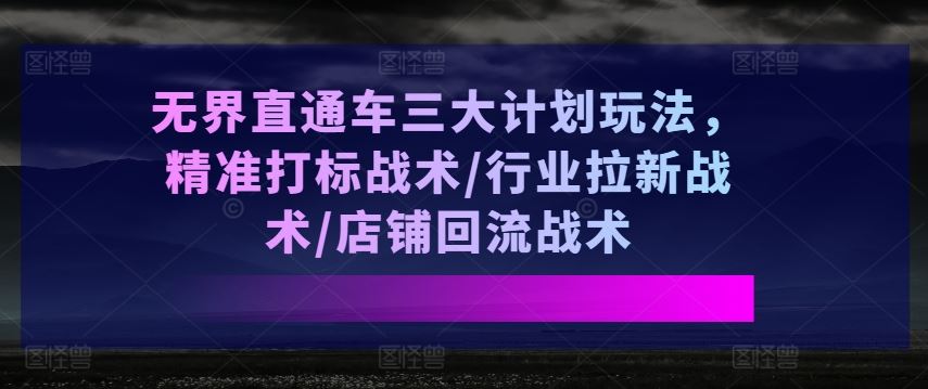 无界直通车三大计划玩法，精准打标战术/行业拉新战术/店铺回流战术-928网创