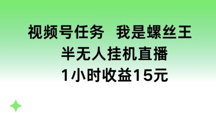 视频号任务，我是螺丝王， 半无人挂机1小时收益15元【揭秘】-928网创