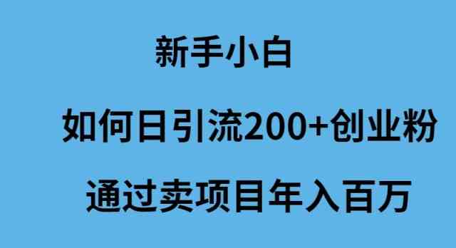 （9668期）新手小白如何日引流200+创业粉通过卖项目年入百万-928网创