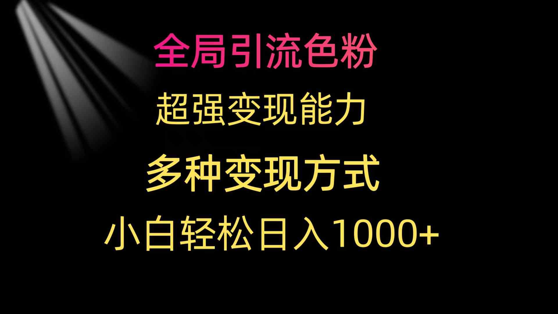 （9680期）全局引流色粉 超强变现能力 多种变现方式 小白轻松日入1000+-928网创