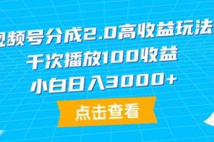 （9716期）视频号分成2.0高收益玩法，千次播放100收益，小白日入3000+-928网创