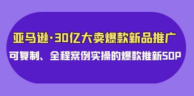 （9944期）亚马逊30亿·大卖爆款新品推广，可复制、全程案例实操的爆款推新SOP-928网创