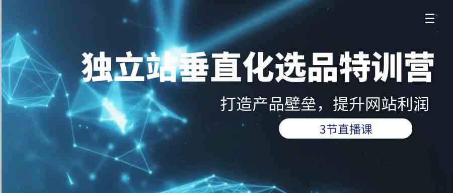 （9925期）独立站-垂直化选品训练营，打造产品壁垒，提升网站利润（3节直播课）-928网创