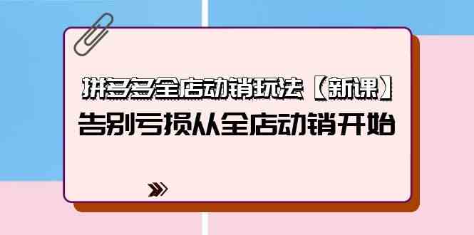 （9974期）拼多多全店动销玩法【新课】，告别亏损从全店动销开始（4节视频课）-928网创