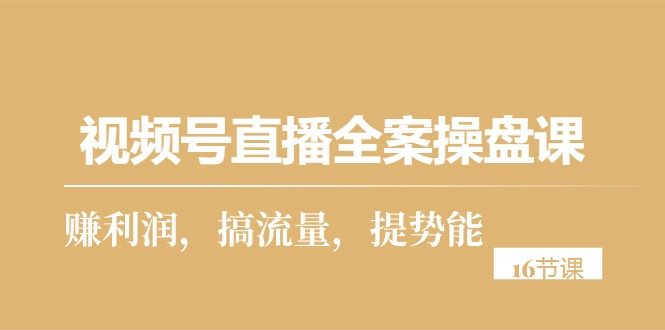 （10207期）视频号直播全案操盘课，赚利润，搞流量，提势能（16节课）-928网创