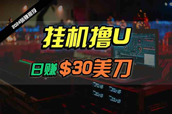 （10013期）日赚30美刀，2024最新海外挂机撸U内部项目，全程无人值守，可批量放大-928网创
