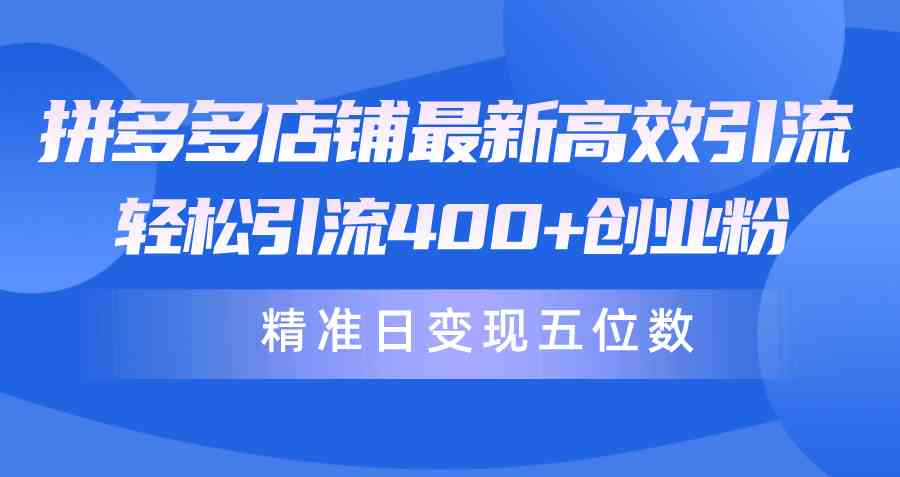（10041期）拼多多店铺最新高效引流术，轻松引流400+创业粉，精准日变现五位数！-928网创