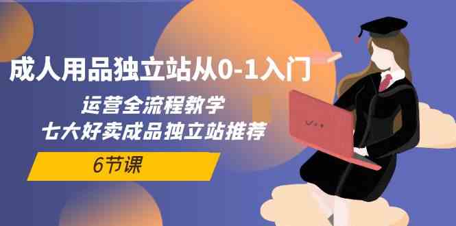 （10082期）成人用品独立站从0-1入门，运营全流程教学，七大好卖成品独立站推荐-6节课-928网创