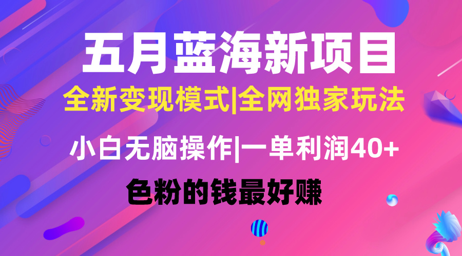 （10477期）五月蓝海项目全新玩法，小白无脑操作，一天几分钟，矩阵操作，月入4万+-928网创