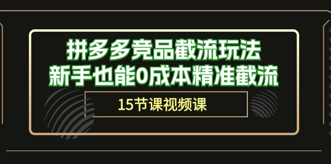 （10301期）拼多多竞品截流玩法，新手也能0成本精准截流（15节课）-928网创